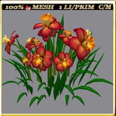 LW_ Symphony of Daffodils (1 LI / Prim)