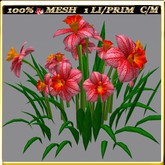 LW_ Symphony of Daffodils (1 LI / Prim)