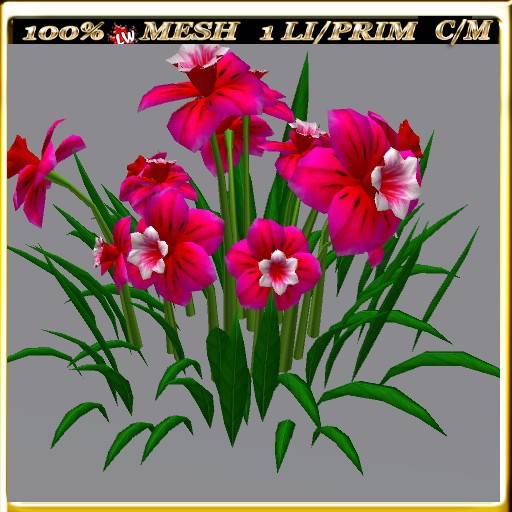 LW_ Symphony of Daffodils 7 (1 LI / Prim)