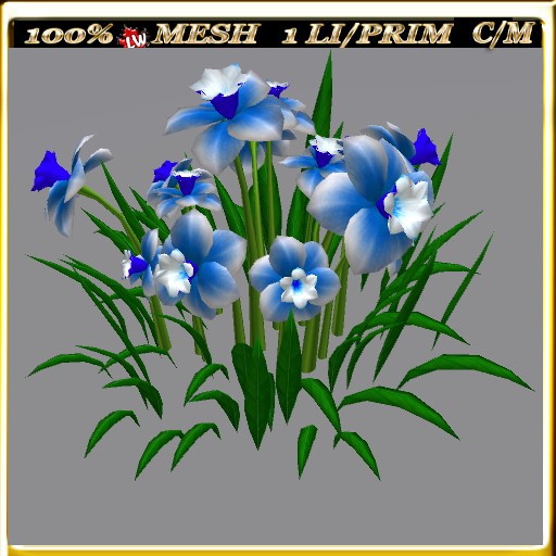 LW_ Symphony of Daffodils (1 LI / Prim)
