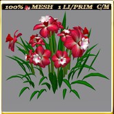 LW_ Symphony of Daffodils (1 LI / Prim)