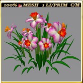 LW_ Symphony of Daffodils (1 LI / Prim)