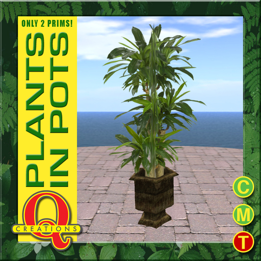 Houseplant 5 by Q Creations