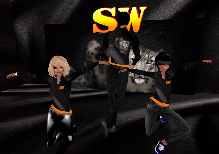 UNISEX DOUBLE SHIRT (SW)