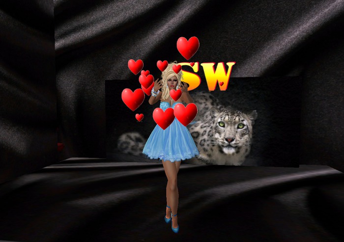 S/W Dance typer Valentin dey