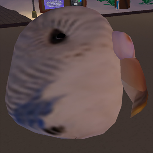 Rotating Parakeet Head Wearable