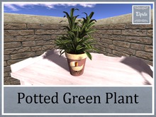 [Elpi] Green plant - Pram pot - 1LI - Boxed