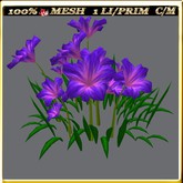LW_ Group of Petunias 3 (1 LI / Prim)