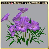 LW_ Group of Petunias 11 (1 LI / Prim)
