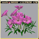LW_ Group of Petunias (1 LI / Prim)