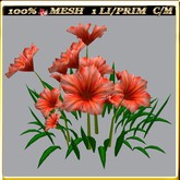 LW_ Group of Petunias (1 LI / Prim)