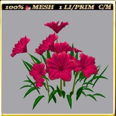 LW_ Group of Petunias 6 (1 LI / Prim)