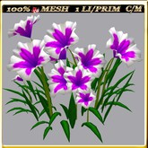 LW_ Group of Petunias (1 LI / Prim)