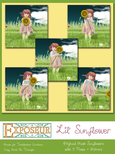 {.:exposeur:.} Lil' Sunflower (WEAR ME)