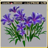 LW_ Group of Petunias (1 LI / Prim)