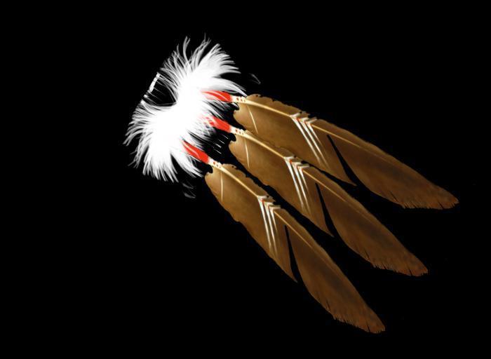 Feathers * GOLDEN EAGLE * REAR/SIDE
