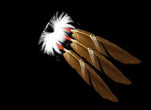 Feathers * GOLDEN EAGLE * REAR/SIDE