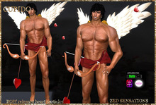 499 Zed Sensations*.Cupido