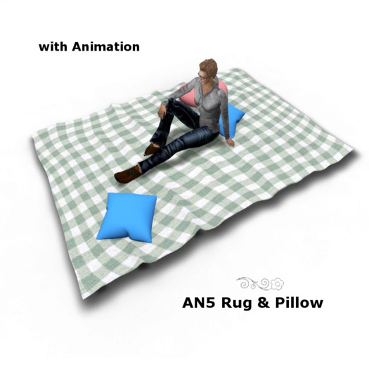 Anthony5 Rug & Pillow Box