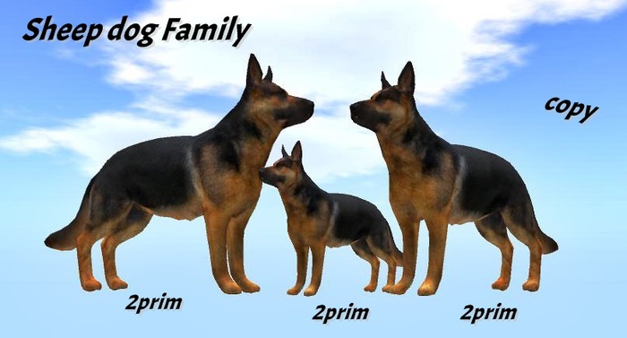 Sheep dog  Family  ( MP )