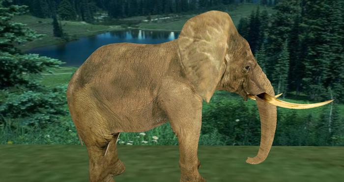 TusK  Rideable Mesh Elephant, (Boxed)
