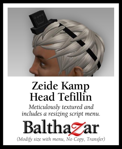 Zeide Kamp Head Tefillin