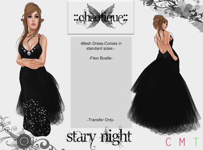 .::Chaotique::.Stary Night