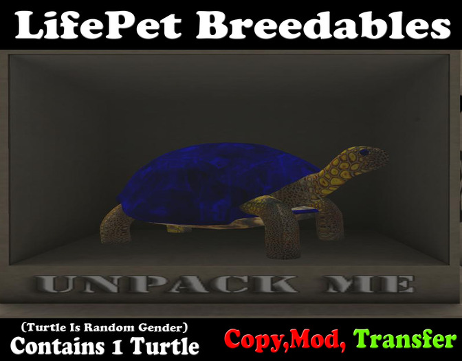 (BOXED) LifePet Breedable Starter Turtle Egg (Blue_Blue)