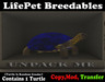 Starter turtle blue