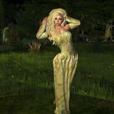 Mary Dress``gold