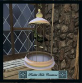 ~RHC ~Birdcage With Raven