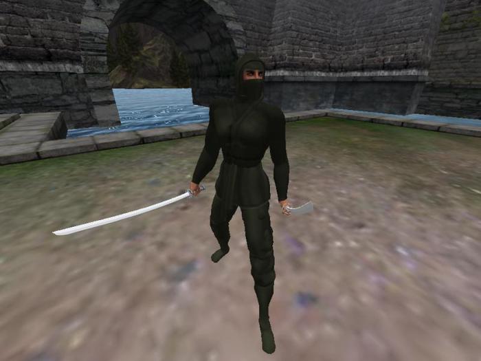 Ninja Suit Green