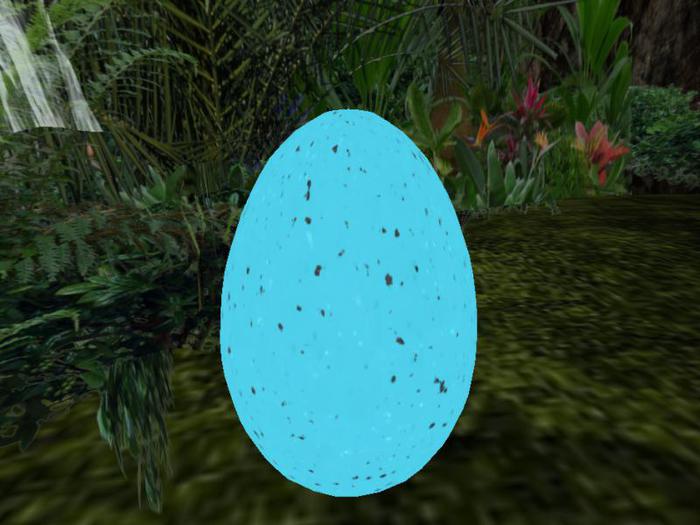 Robin Egg