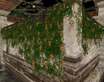WallCornerVineO