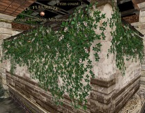 Fleuriste*Wall Corner Mirtorosa