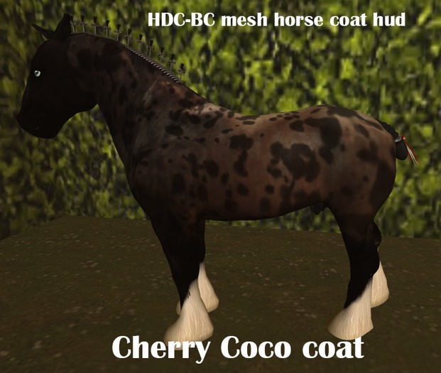 Red roan appy Texture Pack (wear me)