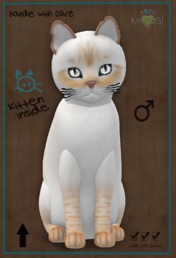 9T Balinese - Flame Lynx Crystal Clear Mysterious Small Flair Boo Boo Odyssey Boo Boo 2 Tone Light Wave