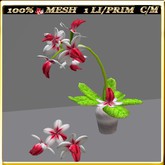 LW_ Mesh Orchid in Pot 1 (1 Prim / LI)