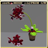 LW_ Mesh Orchid in Pot 5 (1 Prim / LI)