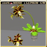 LW_OrchidsinVaseMesh_Pink