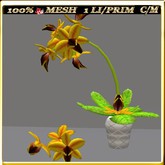 LW_OrchidsinVaseMesh_Pink