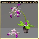 LW_ Mesh Orchid in Pot 14 (1 Prim / LI)
