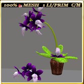 LW_ Mesh Orchid in Pot 26 (1 Prim / LI)