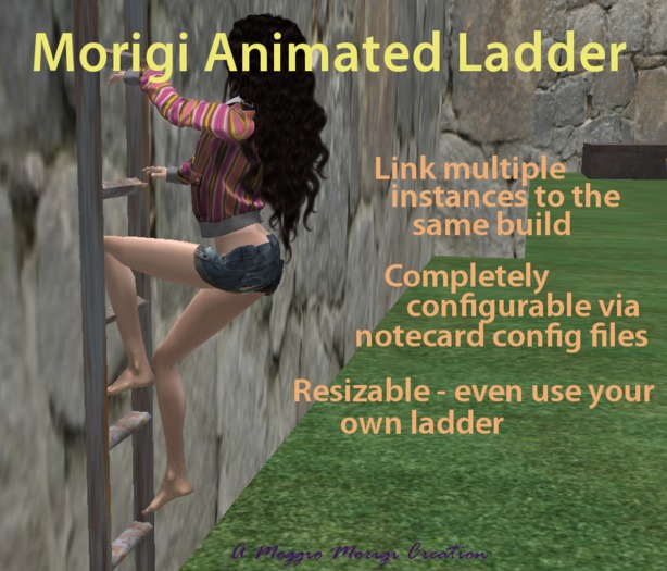 Morigi Animated Ladder (boxed)