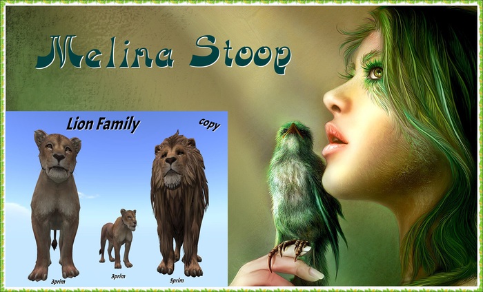 Lion  Family ( MP )