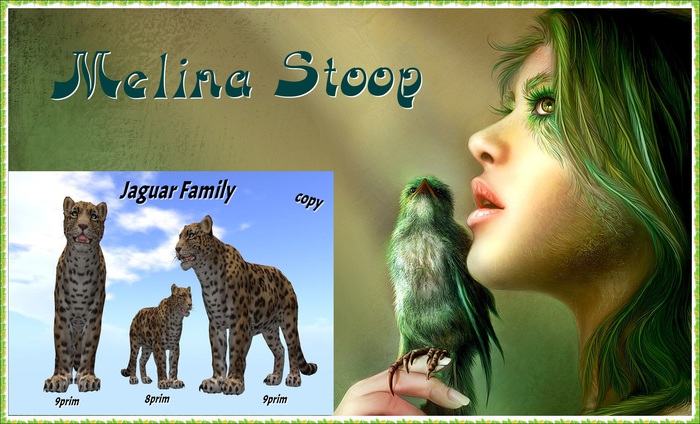 Jaguar  Family ( MP )