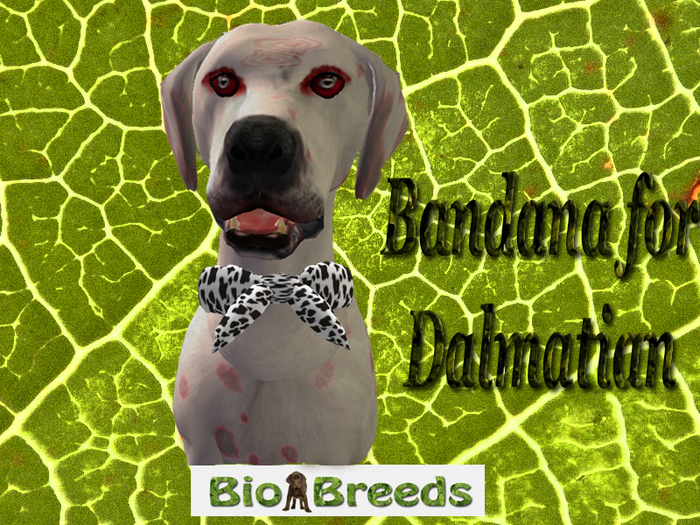 Bandana Stain for Dalmatian  Biobreeds 