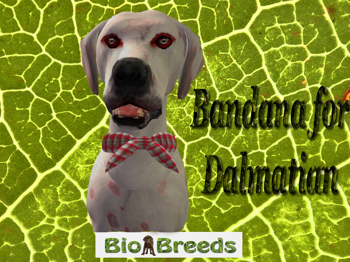 Bandan Stole Red for Dalmatian  Biobreeds 