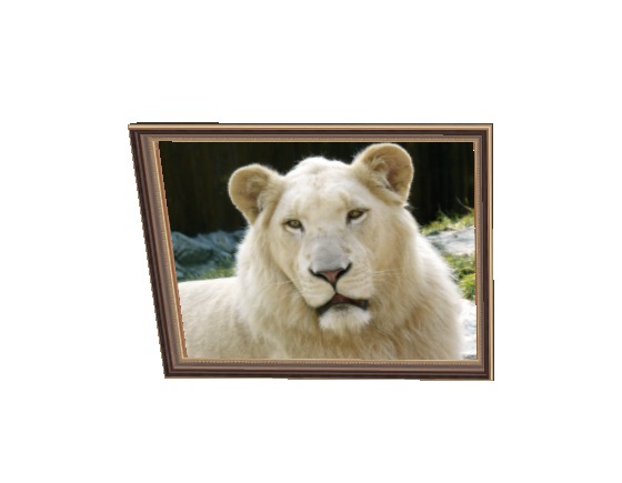 White LION