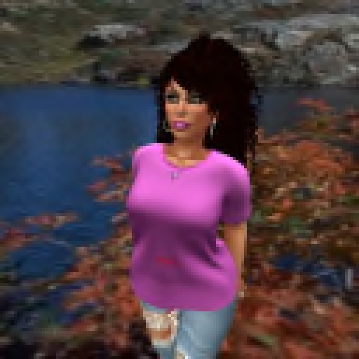 Demo Ladies solid T-shirt